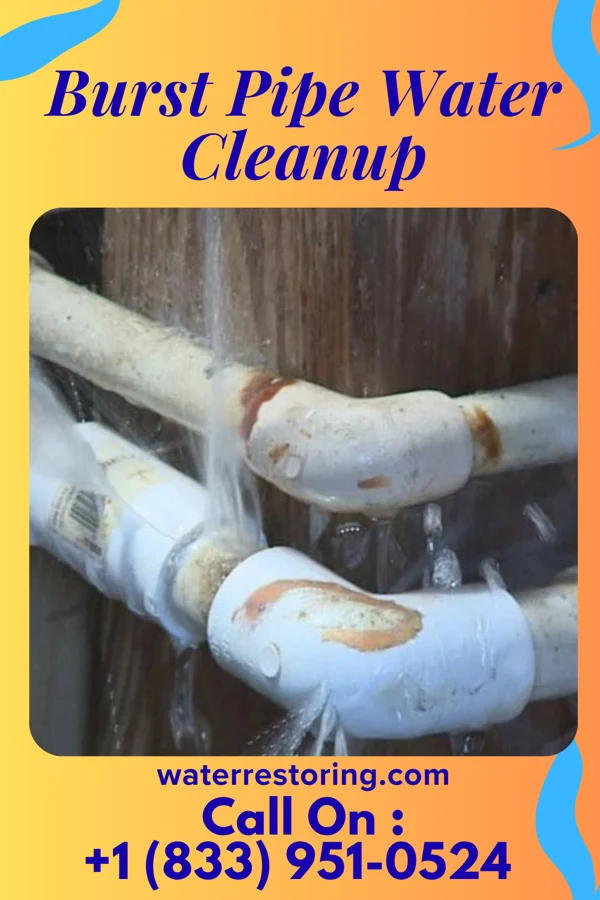 Burst Pipe Water Cleanup in Fern Forest, HI