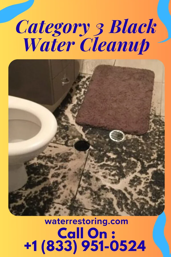 Category 3 Black Water Cleanup in Fern Forest, HI