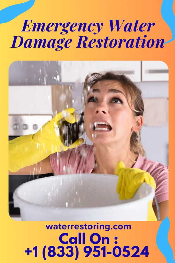 Emergency Water Damage Restoration in Fern Forest, HI