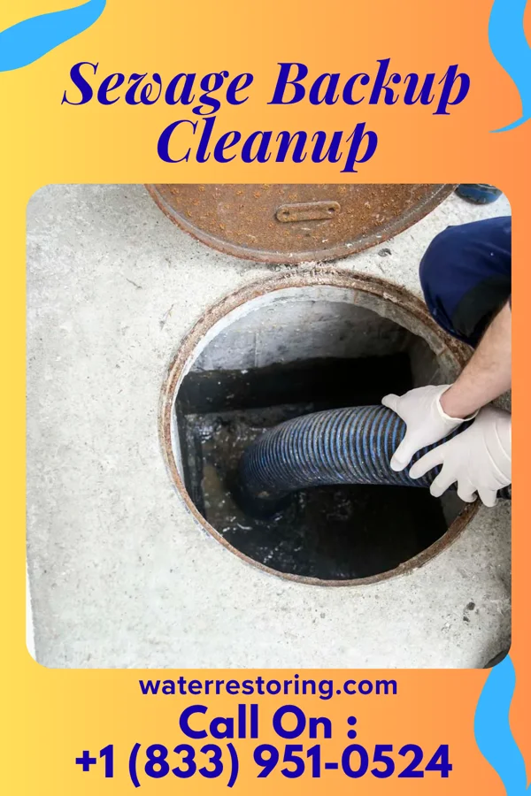 Sewage Backup Cleanup in Fern Forest, HI