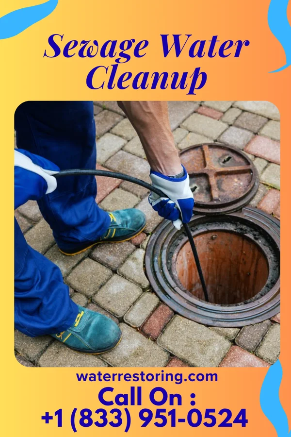 Sewage Water Cleanup in Fern Forest, HI