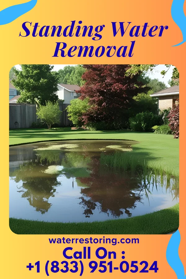 Standing Water Removal in Fern Forest, HI